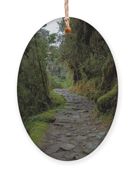 Moss-covered Path Through Lush Forest On The Inca Trail Ornament
