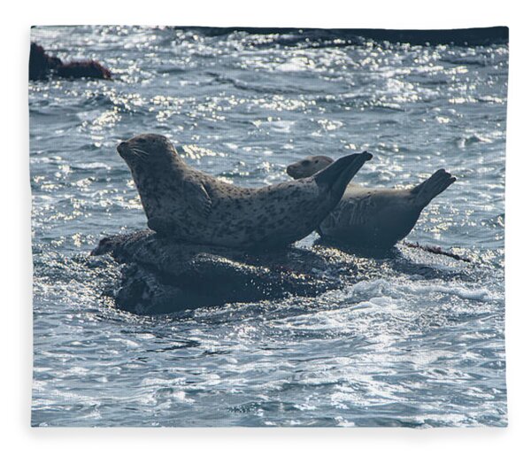 Seals Resting On Rocky Shoreline Fleece Blanket