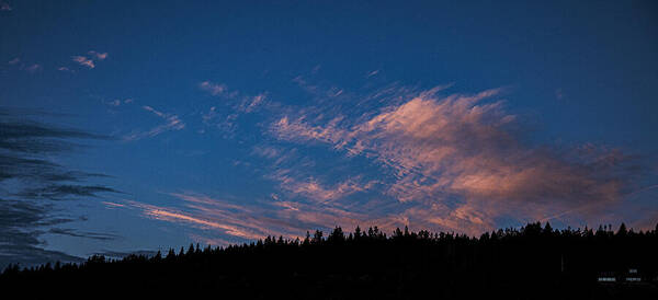Twilight Over Forested Horizon Art Print