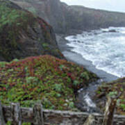 Rocky Coastline With Vibrant Foliage Poster