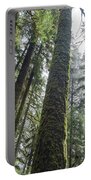 Majestic Forest Canopy In Olympic National Park Portable Battery Charger