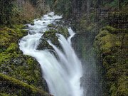 Serene Flow Through Mossy Forest Jigsaw Puzzle