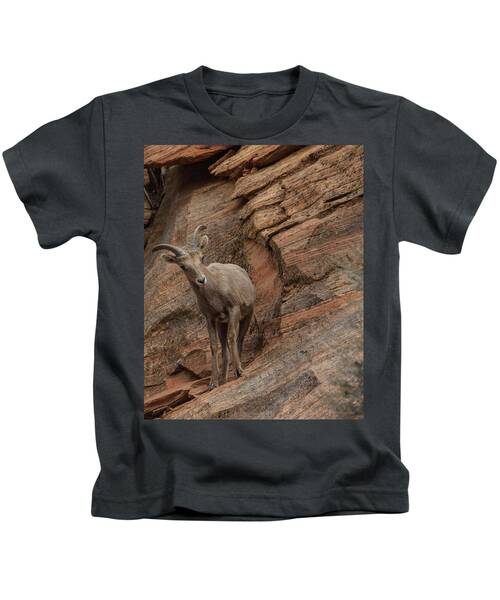 Bighorn Sheep On Rocky Terrain Kids T-Shirt