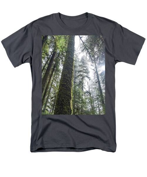Majestic Forest Canopy In Olympic National Park Men's T-Shirt  (Regular Fit)