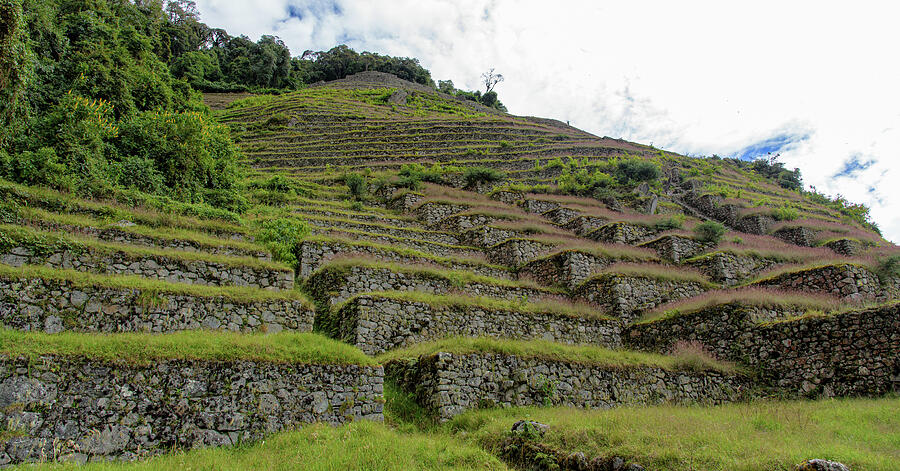 Ancient Terraces Amidst Greenery Photograph by Brandon Wichmann