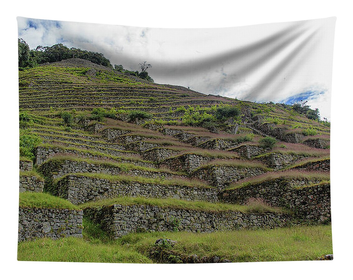 Ancient Terraces Amidst Greenery Tapestry