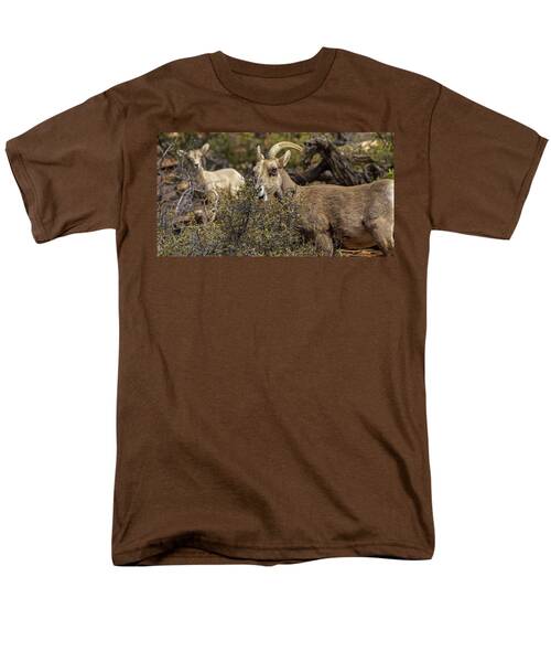Bighorn Sheep in Zion National Park Men's T-Shirt  (Regular Fit) by Brandon Wichmann