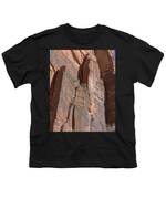 Towering Desert Sandstone Cliffs In Zion National Park Youth T-Shirt
