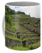 Ancient Terraces Amidst Greenery Coffee Mug