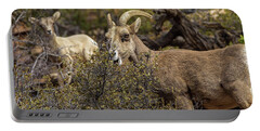 Mountain Goats in Natural Habitat Portable Battery Charger