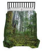Misty Forest Silhouettes In Olympic National Park Duvet Cover