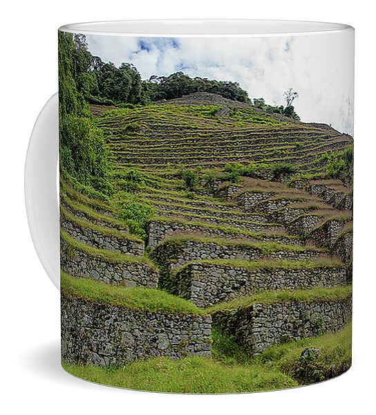 Ancient Terraces Amidst Greenery Coffee Mug