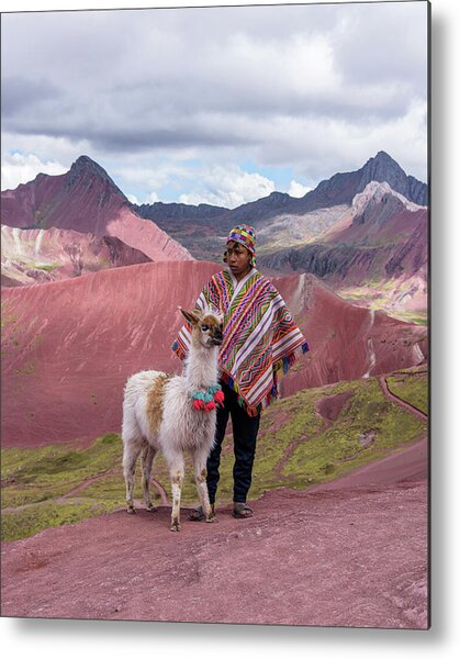 Peruvian Scene With Red Valley And Llama Metal Print