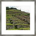 Ancient Terraces Amidst Greenery Framed Print