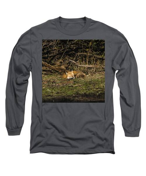 Peaceful Fox in Sunlit Meadow Long Sleeve T-Shirt by Brandon Wichmann
