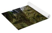 Moss-Covered Forest Trees Yoga Mat
