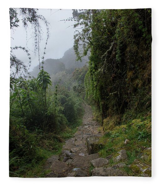 Misty Forest Pathway On The Inca Trail Fleece Blanket