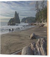 Rugged Coastal Landscape Wood Print