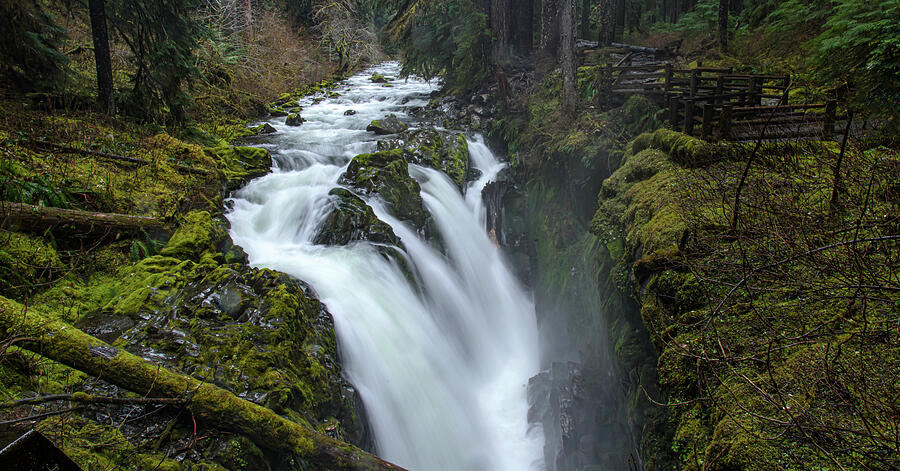 Serene Flow Through Mossy Forest Photograph by Brandon Wichmann