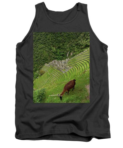 Winay Wayna With Grazing Llama Tank Top