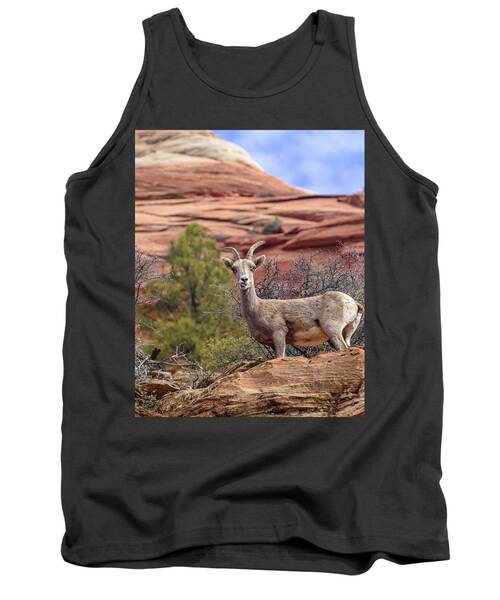 Big Horn Sheep In Zion National Park Tank Top