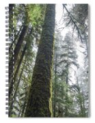 Majestic Forest Canopy In Olympic National Park Spiral Notebook