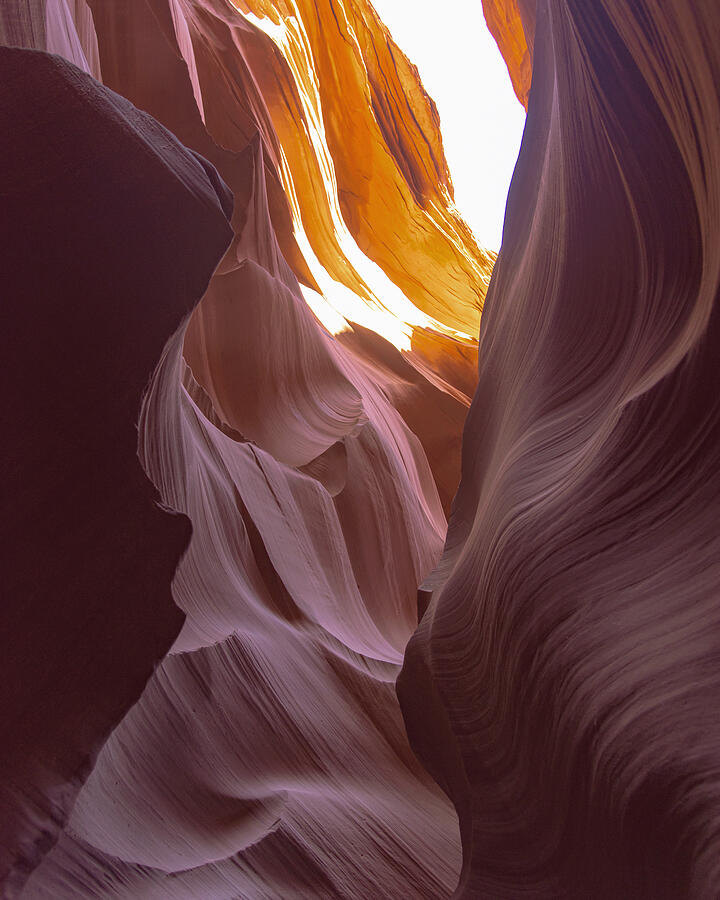 Curves of Sunlit Antelope Canyon Walls Photograph by Brandon Wichmann
