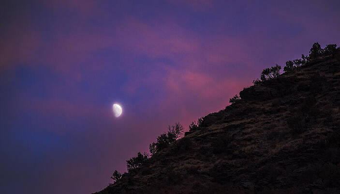 Tree Wall Art featuring the photograph Moonlit Evening Over Silhouetted Hills by Brandon Wichmann