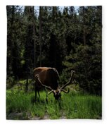 Elk Grazing In A Sunlit Forest In Grand Teton National Park Fleece Blanket