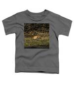 Peaceful Fox In Sunlit Meadow Toddler T-Shirt