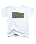 Bobcat in Grassy Field Toddler T-Shirt