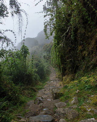 Peru May 25' Serene Art