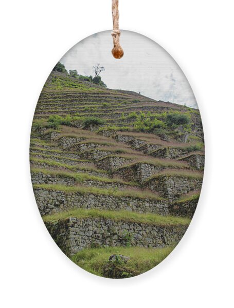 Ancient Terraces Amidst Greenery Ornament