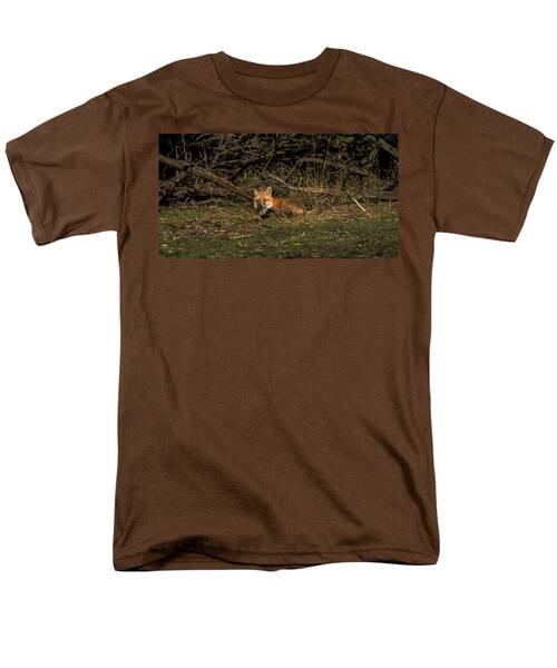Fox Resting In Sunlit Clearing Men's T-Shirt  (Regular Fit)