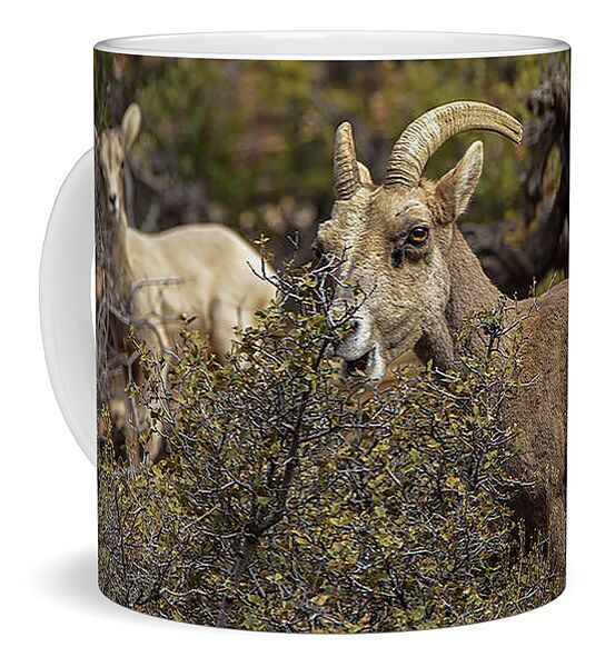 Mountain Goats in Natural Habitat Coffee Mug