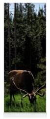 Wildlife Yoga Mats