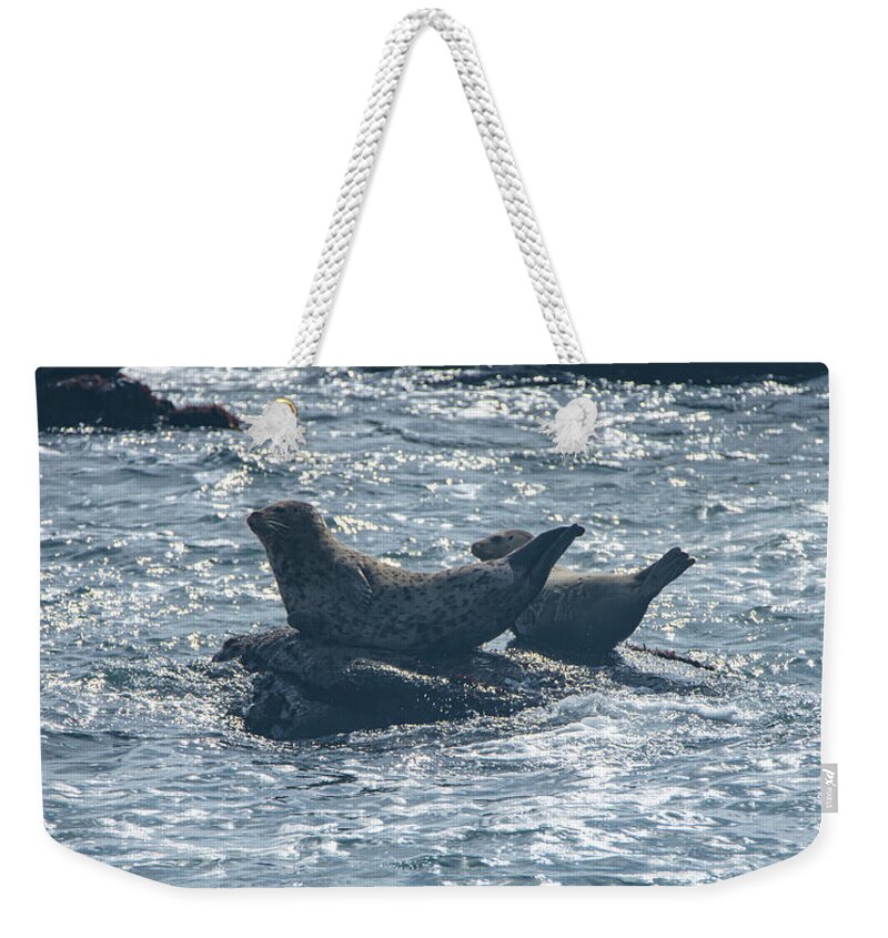 Seals Resting On Rocky Shoreline Weekender Tote Bag