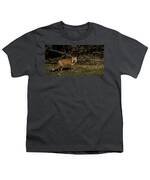 Fox In Sunlit Forest Clearing Youth T-Shirt