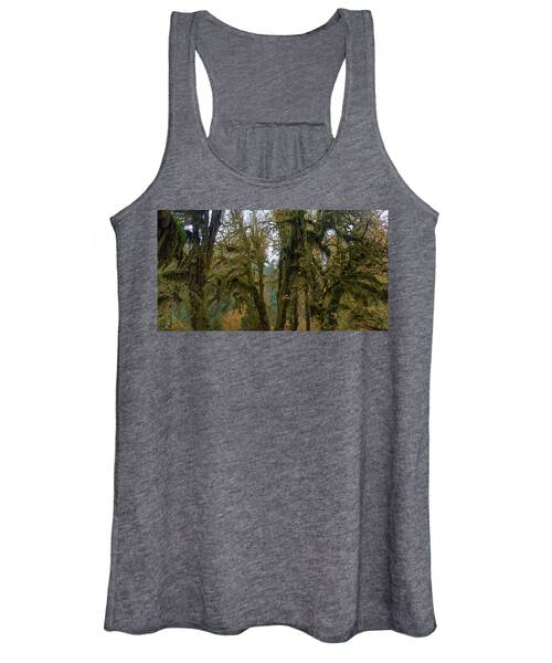 Moss-Covered Forest Trees Women's Tank Top