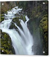 Serene Flow Through Mossy Forest Acrylic Print
