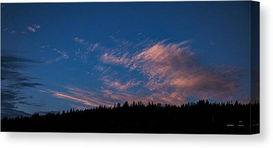 Twilight Over Forested Horizon Canvas Art Print by Brandon Wichmann