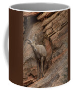 Bighorn Sheep On Rocky Terrain Coffee Mug