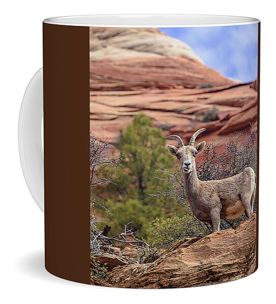 Big Horn Sheep In Zion National Park Coffee Mug