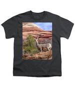 Big Horn Sheep In Zion National Park Youth T-Shirt