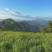 Mountain View with Wildflowers Poster