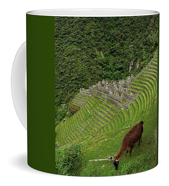 Winay Wayna With Grazing Llama Coffee Mug