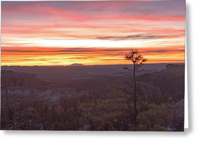 Shop for Serene Greeting Cards