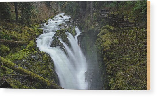 Serene Flow Through Mossy Forest Wood Print