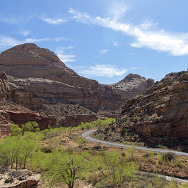 Winding Road Through Desert Canyon by Brandon Wichmann