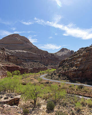 Winding Road Through Desert Canyon Wall Art